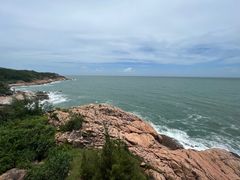 -广东惠东海龟国家级自然保护区