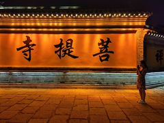 -台儿庄古城