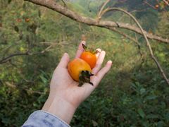 -丹山赤水风景名胜区