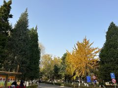 -辽宁大学(崇山校区)