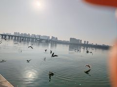 -蠡湖大桥公园