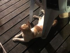 -仙本那渔人码头餐厅