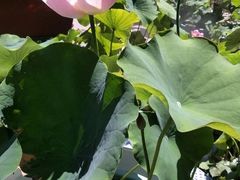 -溢昇堂养生足道