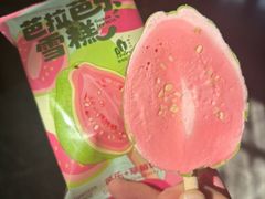 -光明小镇欢乐田园