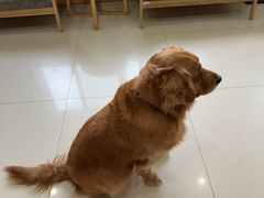 -宠颐生宠物医院·骨外科·犬猫全科诊疗中心(池州店)