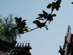 -恭王府博物馆