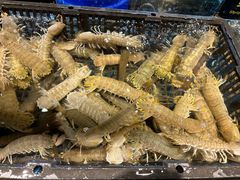 -九月海·海鲜自助(世纪东方店)