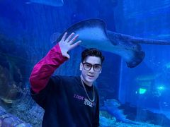 -华夏文旅海洋公园