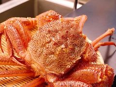 -鳥喜Toriki怀石烧鸟料理