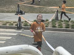 -春花秋色城市公园