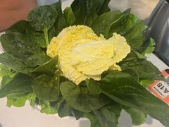 -老王全牛宴·鲜牛肉牛杂火锅(总店)