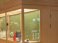 -帕帕拉兹宠物(亚洲旗舰店)