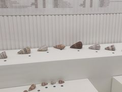 -青岛贝壳博物馆