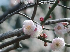 -静安雕塑公园