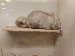 -龙猫仔乐园(惠福东路店)