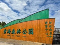 -黄海国家森林公园
