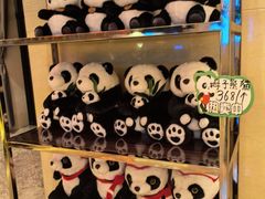 -成都保利公园皇冠假日酒店(熊猫基地店)