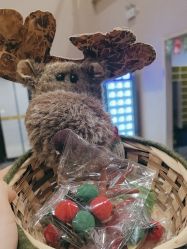 -疯狂的麦咭(长沙店)