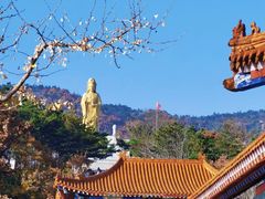 -横山寺