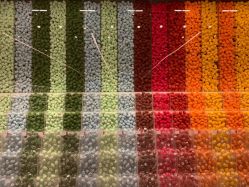 -THE COLORIST调色师