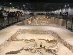 -洛阳周王城天子驾六博物馆