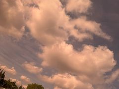 -胜华驾校·小猫学车(银都店)