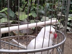 -南宫五洲植物乐园