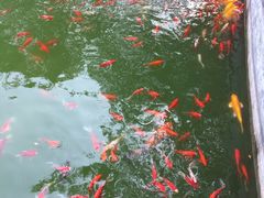 -湄公河秘制烤鱼(西双十贰城商业中心店)