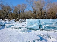 -长春市南湖公园