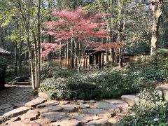 -黄公望隐居地