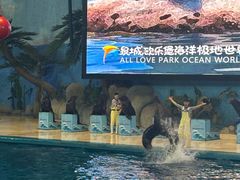 -泉城欧乐堡海洋极地世界