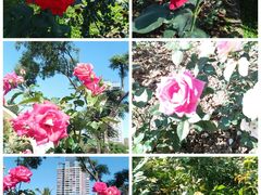 -人民公园(罗湖区)