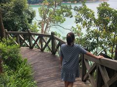 -广州市流溪河国家森林公园
