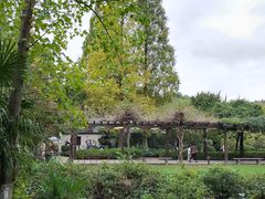 -白马涧龙池景区