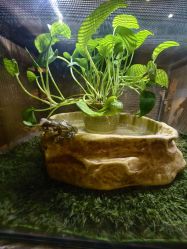 -Zoolung Zoolung动物主题公园(海信广场店)