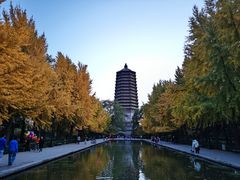 -玲珑塔公园