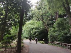 -井之头恩赐公园