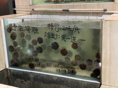 -海盗餐厅