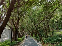 -大梅沙海滨公园