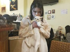 -猫色咖啡·猫咖