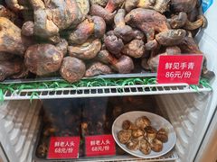 -太婆天府山珍酒楼(亚运村店)