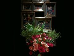 -弦月窗LUNETTE BY AMANDA(复兴路店)