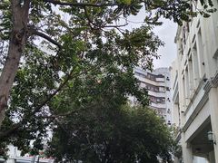 -三亚市第二中学