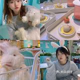 广州新店｜一起去撸可可爱爱的安哥拉巨兔吧🐰