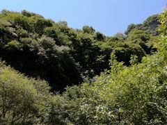 -少华山国家森林公园