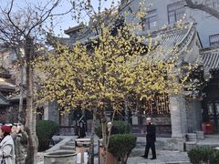 -西安化觉巷清真大寺