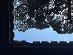 -八大山人梅湖景区