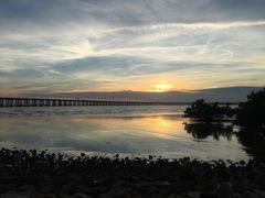 -宝安西湾红树林湿地公园