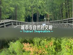 -福道