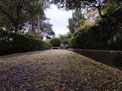 -灵岩山风景区